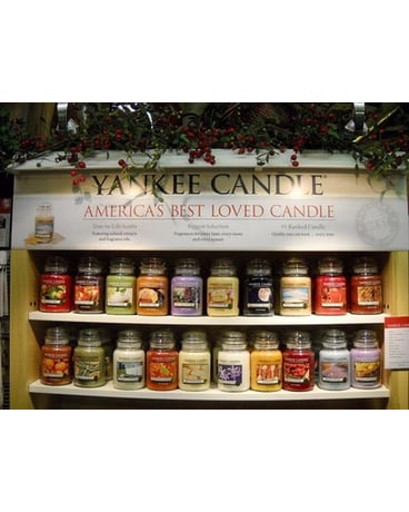 View Our Store